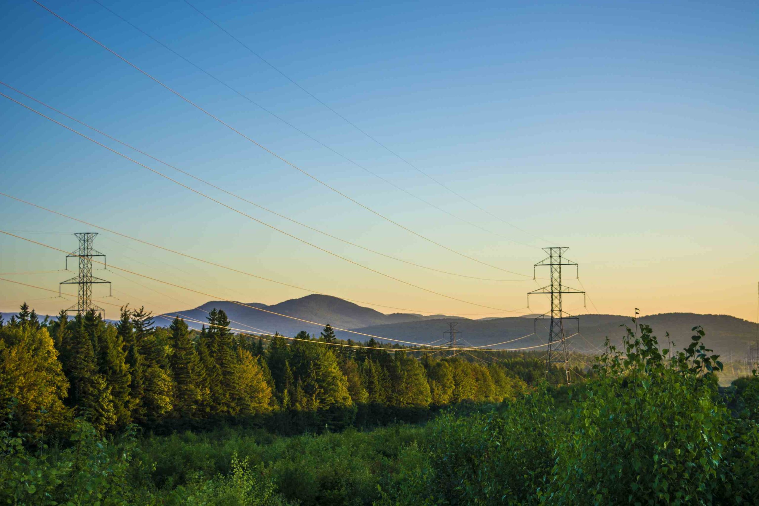 Vegetation management of power lines