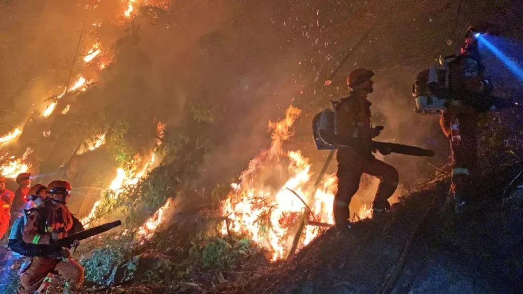 Chongqing wildfire