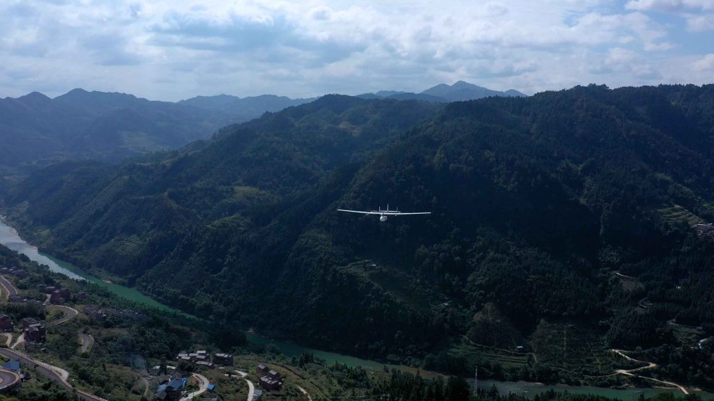 CW-15 fly over the forest