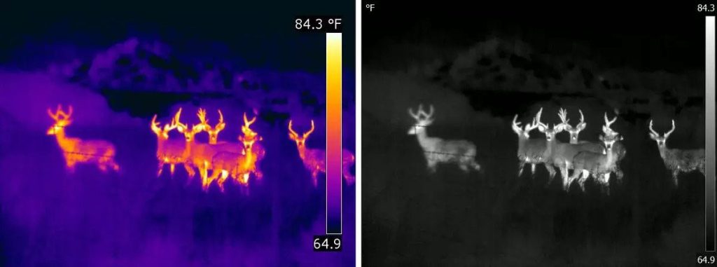 Thermal imaging vs. night vision