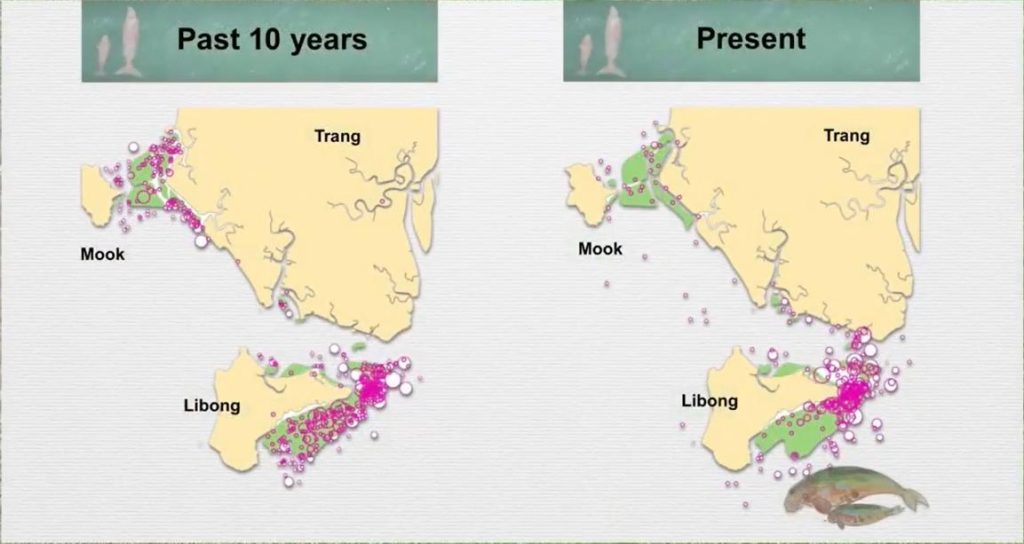 historical and current population comparisons of marine mammals