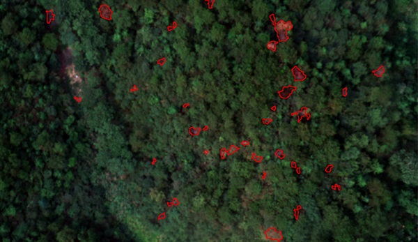 grid-image