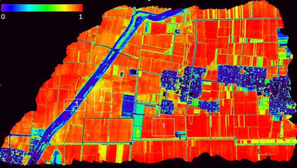 NDVI vegetation index images