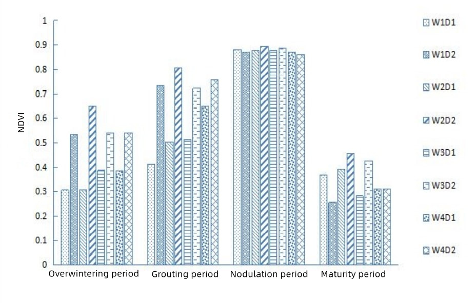 distribution of NDVI values in winter wheat at different growth stages