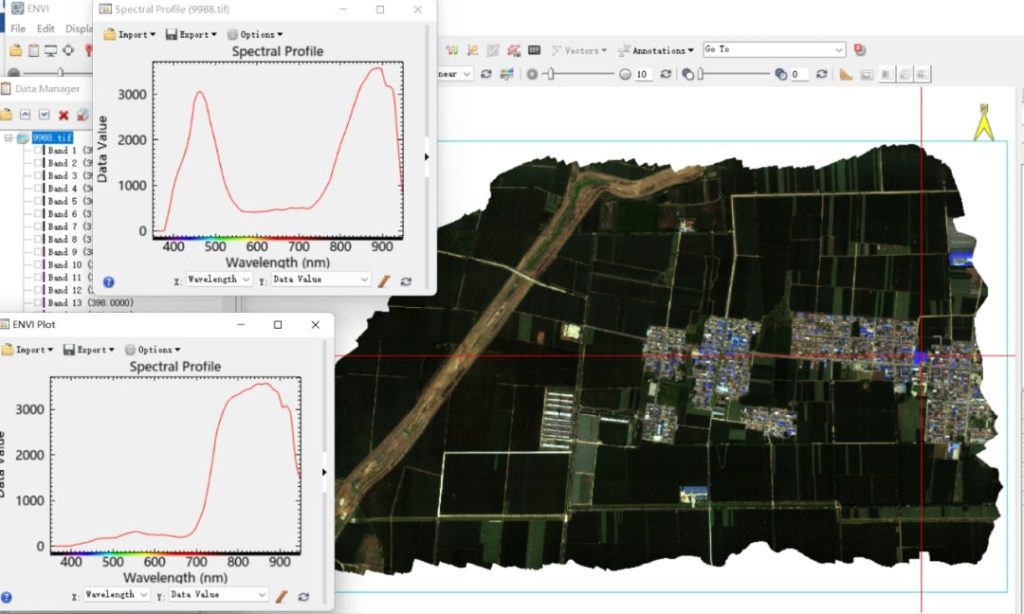 Hyperspectral RGB images opened in ENVI