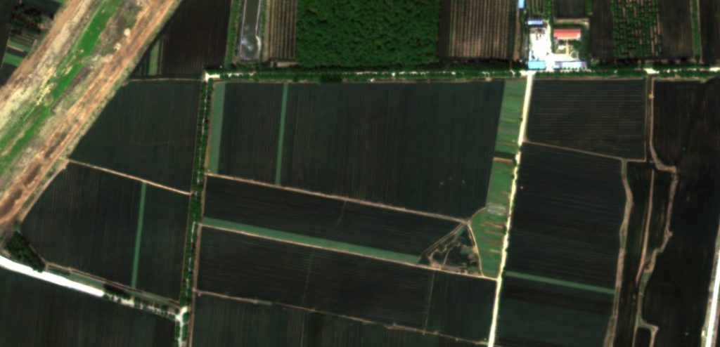 Images hyperspectrales de l'agriculture