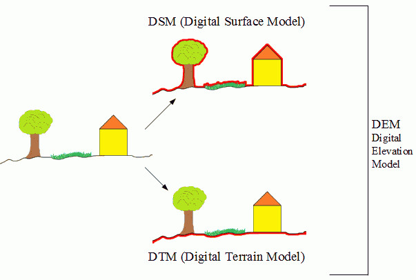 DEM vs. DTM vs. DSM