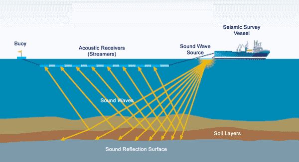 seismic surveys of offshore oil rigs