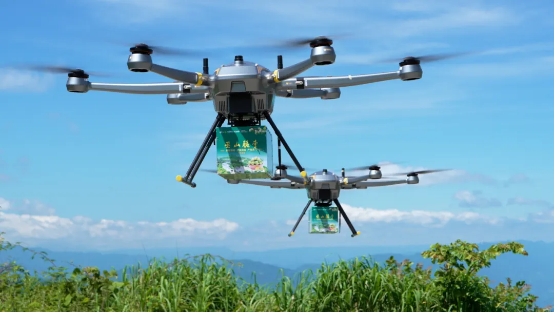 PH-20 delivers Wushan crispy plums across the river