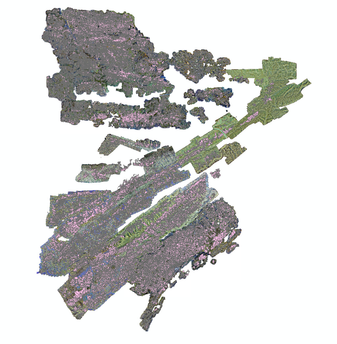 Orthomosaic result of Fengjie County