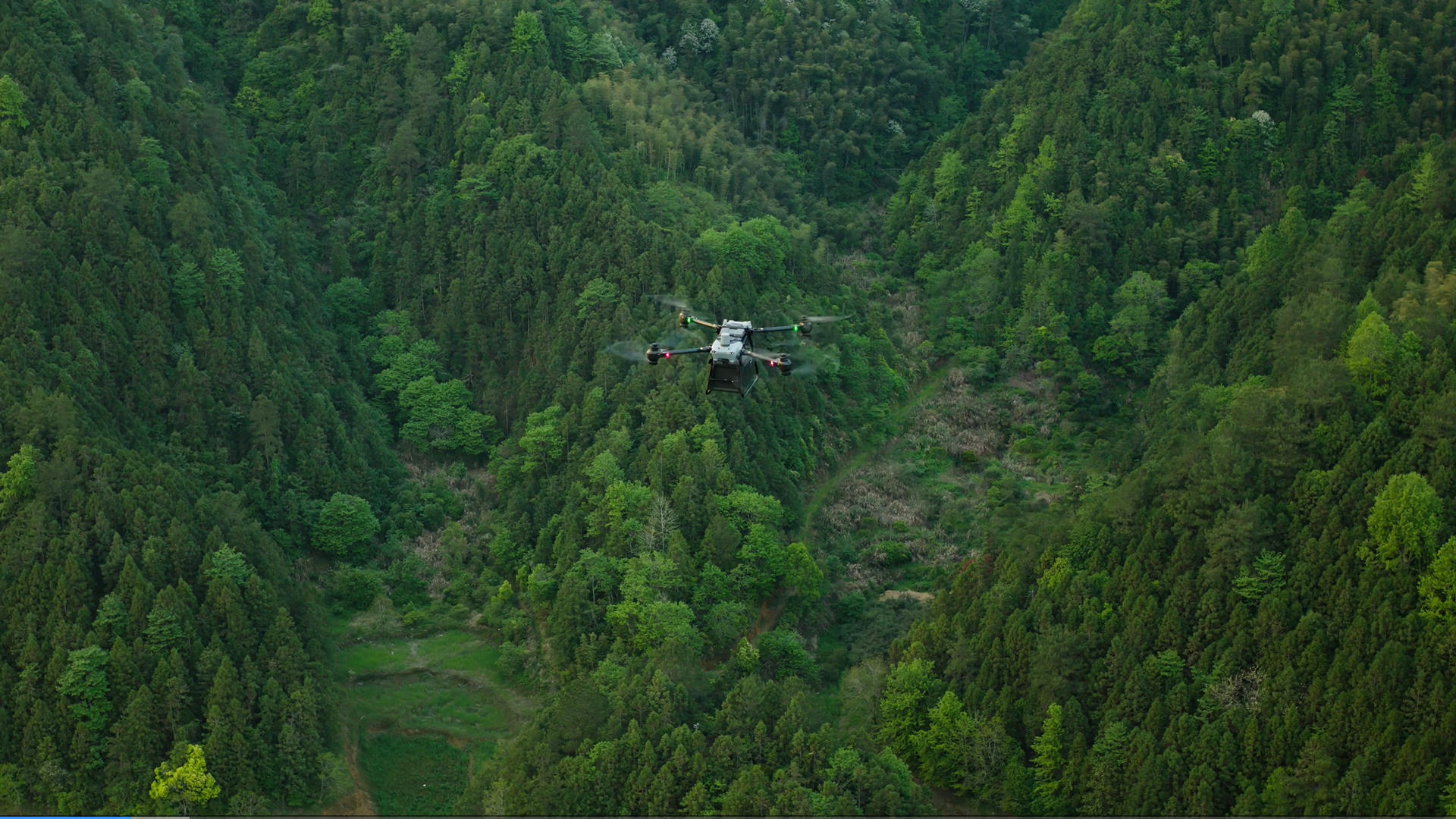 DJI FlyCart 30