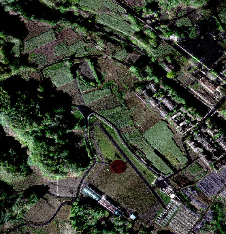 grid-image