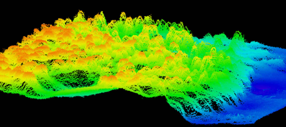 Coral reefs across Florida's coast